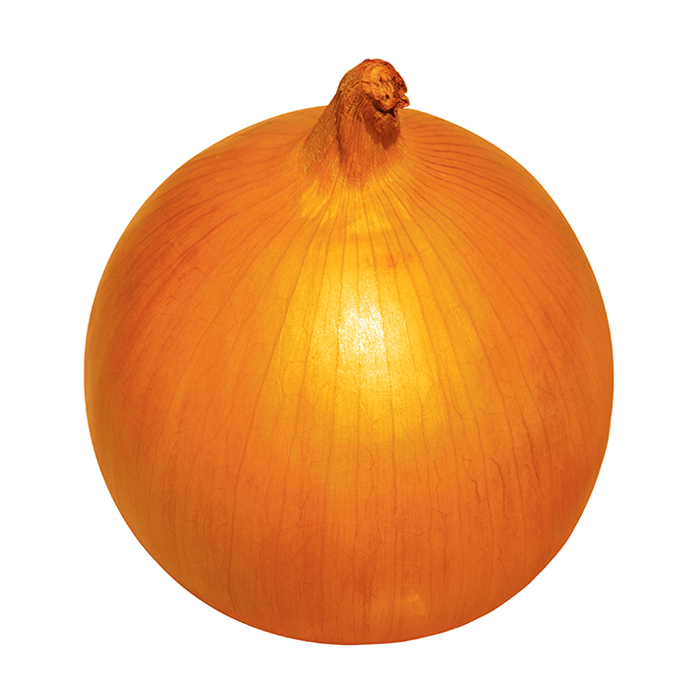 Korean Onion Varieties Jenong S&T, Organic Onion Crops