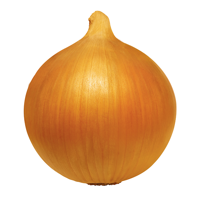 Korean Onion Varieties Jenong S&T, Organic Onion Crops